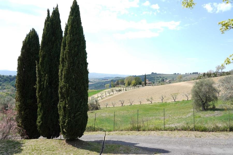 Camping Panorama del Chianti  – photo 13