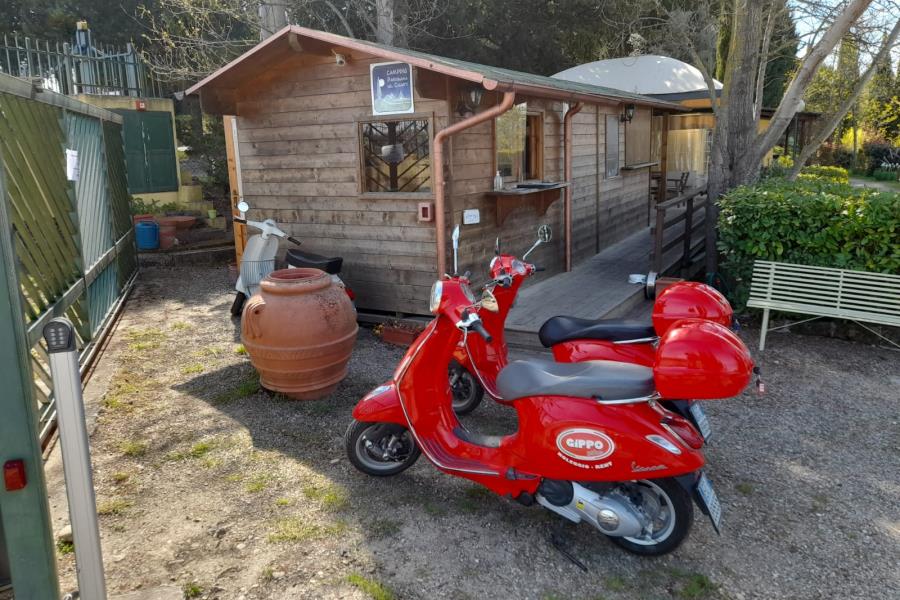 Camping Panorama del Chianti  – photo 15