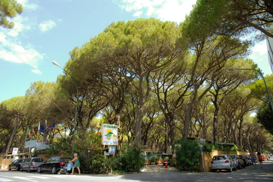 Camping Rosmarina  – foto 2