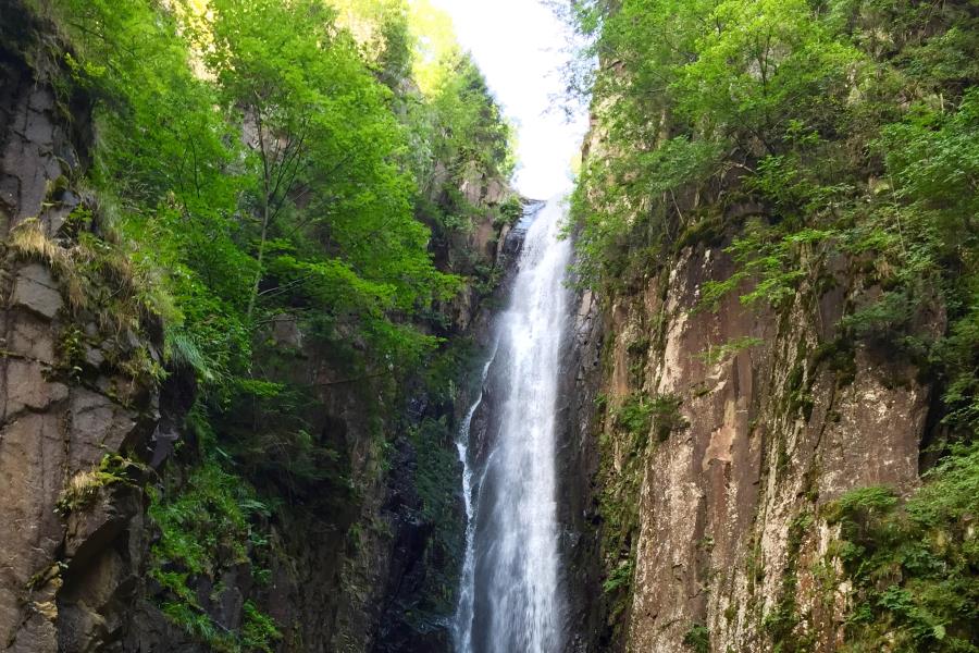 Camping & Hotel Active Pineta  – photo 14