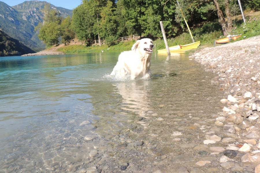 Family Wellness Camping Al Sole  – foto 5