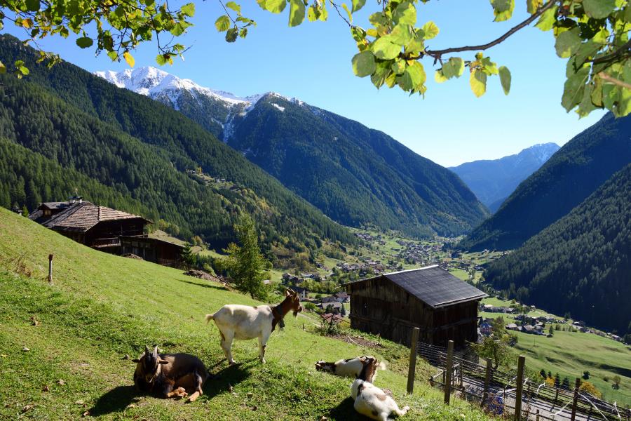 Camping Cevedale – foto 8