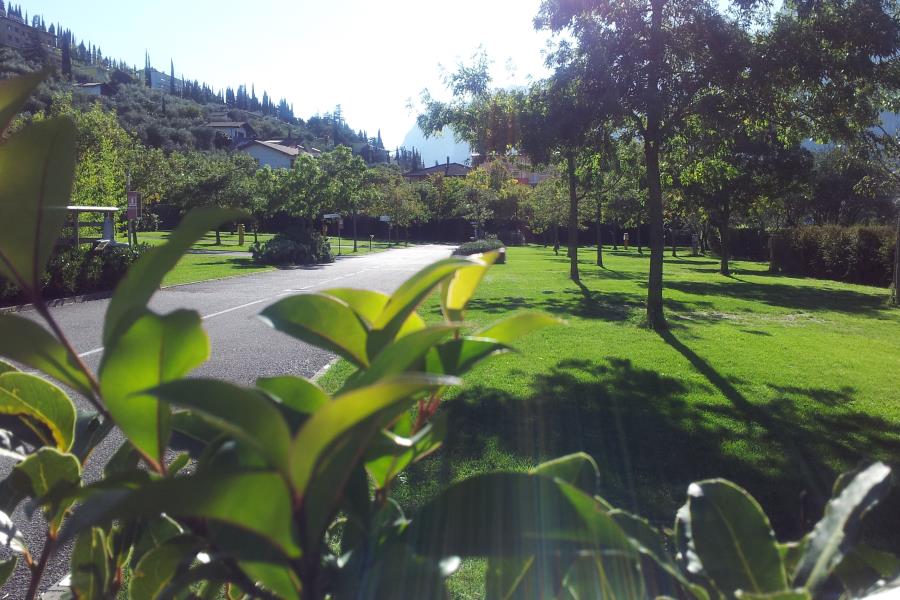 Camping Brione  – foto 8