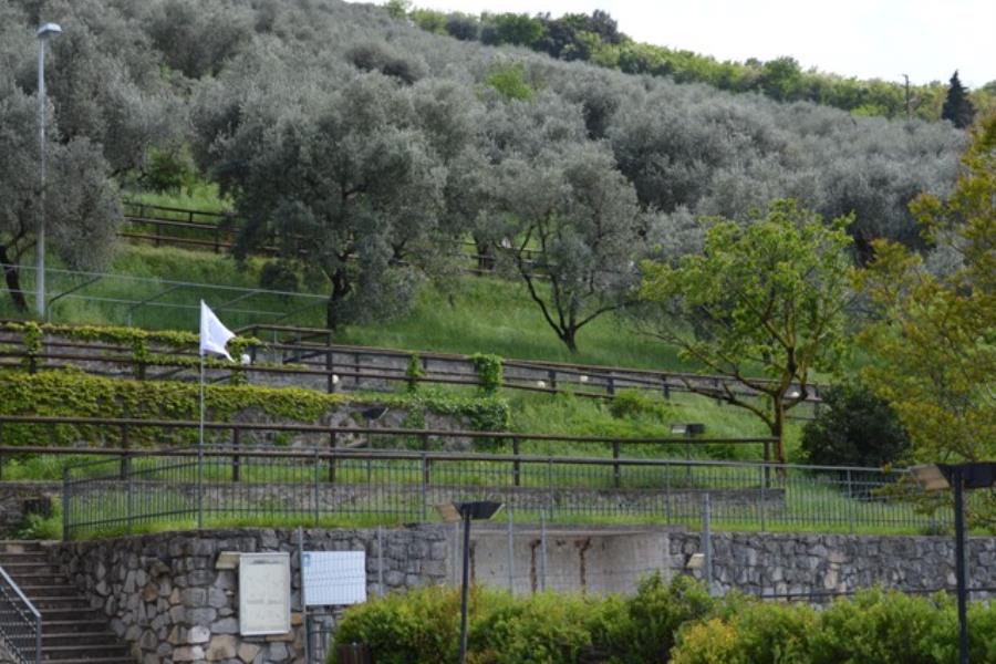 Camping Brione  – foto 17