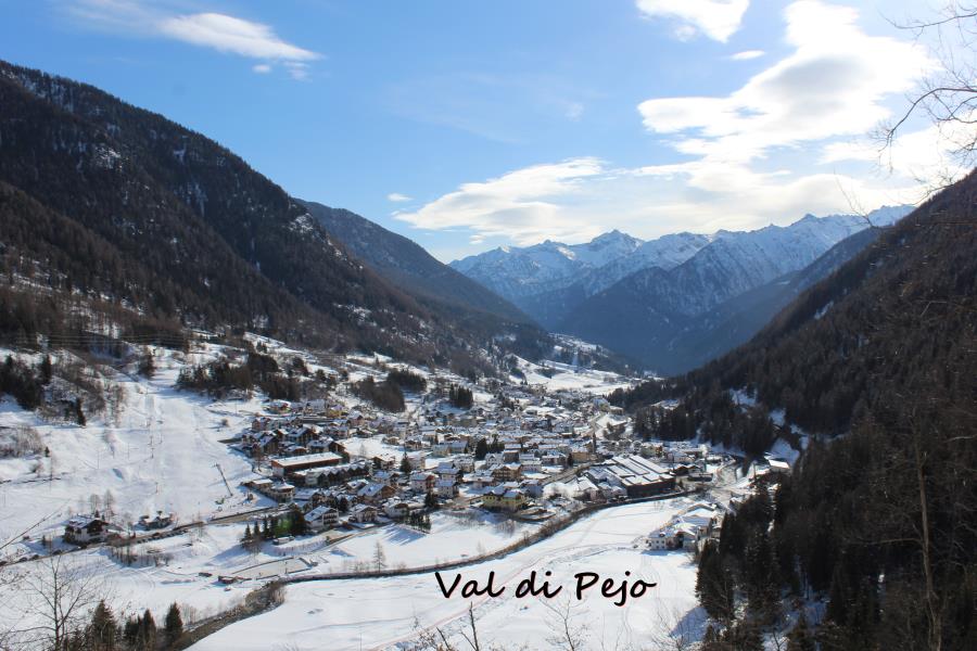 Camping Val di Sole  – foto 14