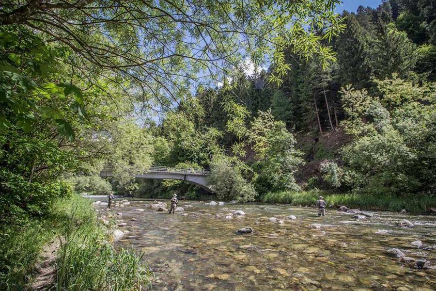 Camping Val Rendena  – foto 6