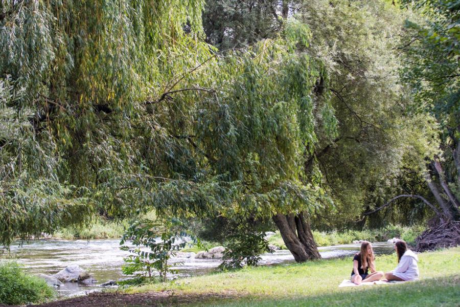 Camping Zoo  – Foto 13
