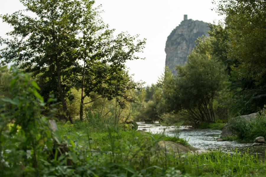 Camping Zoo  – Foto 2