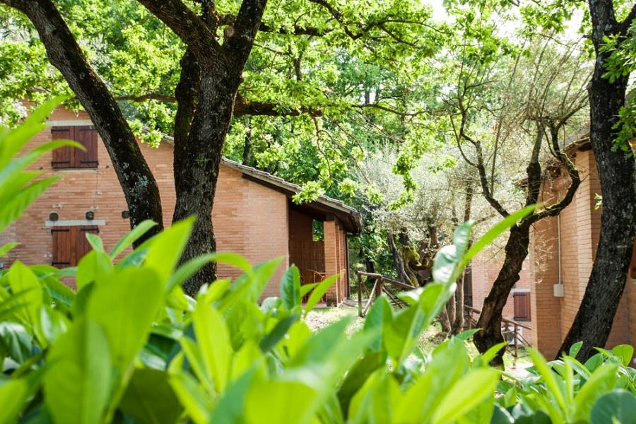 Camping Villaggio  Cerquestra – foto 13