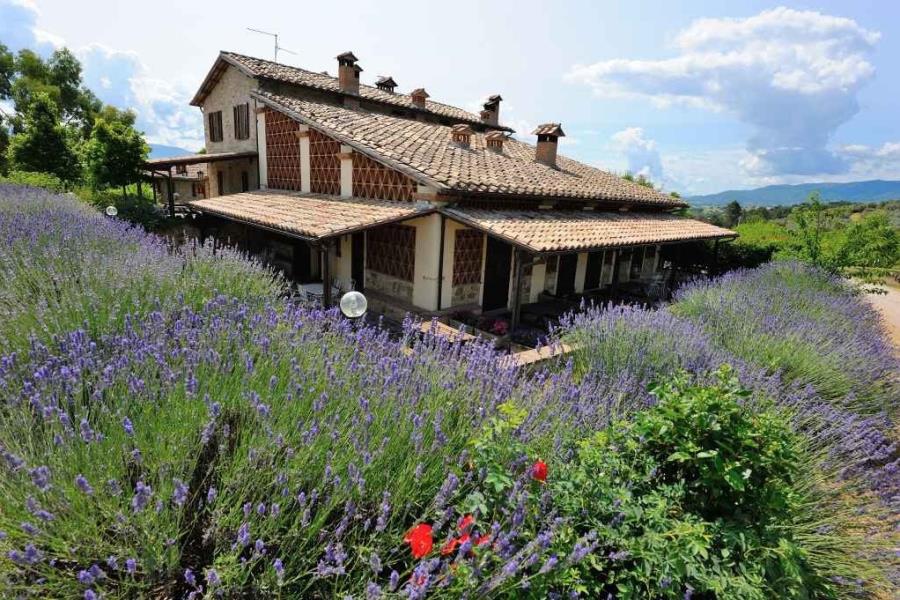 Camping  Pian di Boccio – foto 7