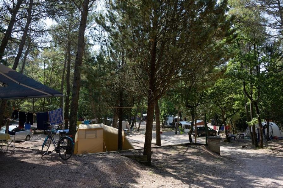 Camping  Pian di Boccio – foto 4