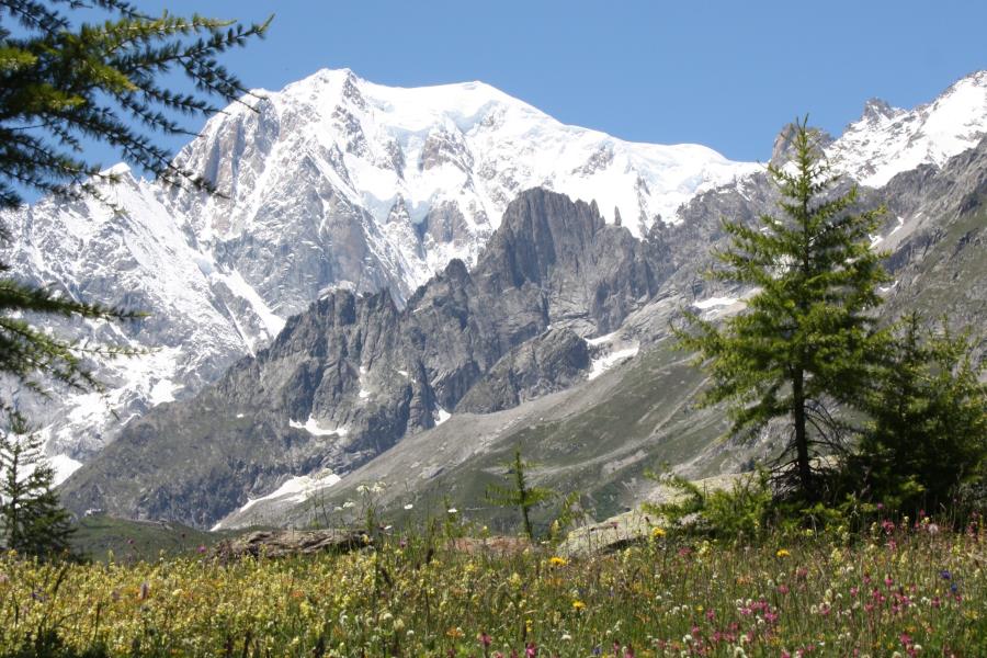 Camping Grandes Jorasses  – foto 4