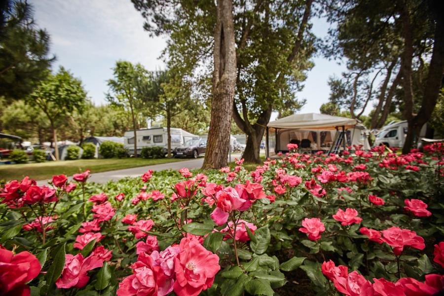 Camping Village dei Fiori  – foto 2