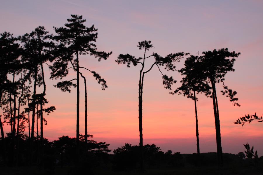 Camping Laguna Village – Foto 15