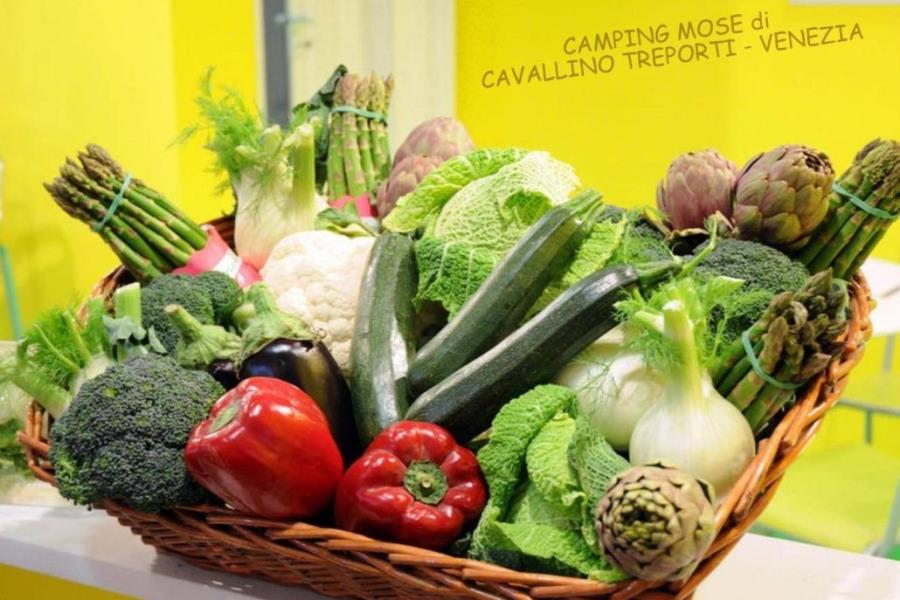 Agricampeggio Mose  – Foto 7
