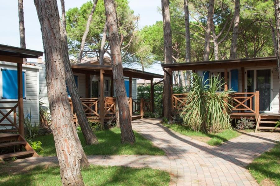 Campeggio Scarpiland – foto 5