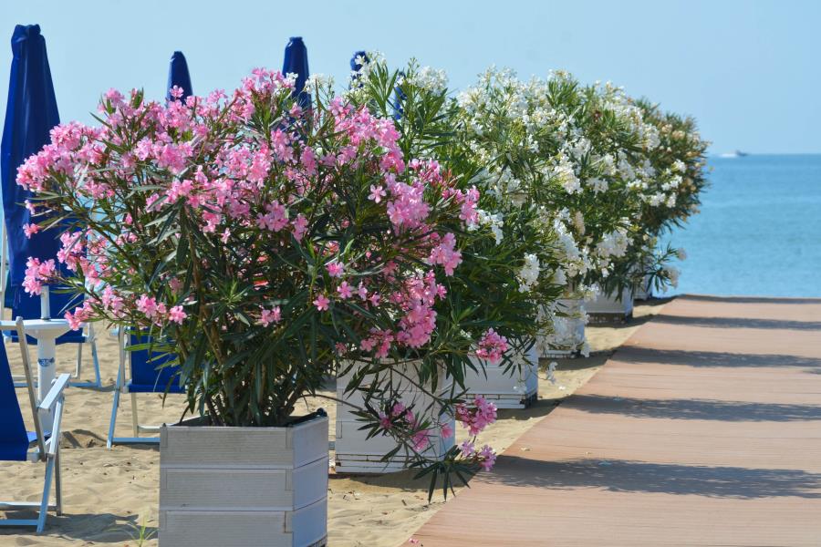 Il Tridente Camping Village – foto 13