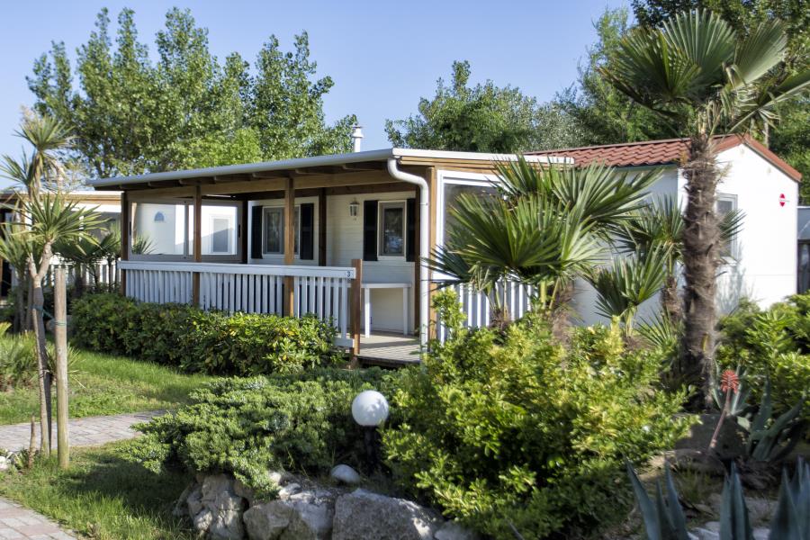 Camping Tropical  – foto 2