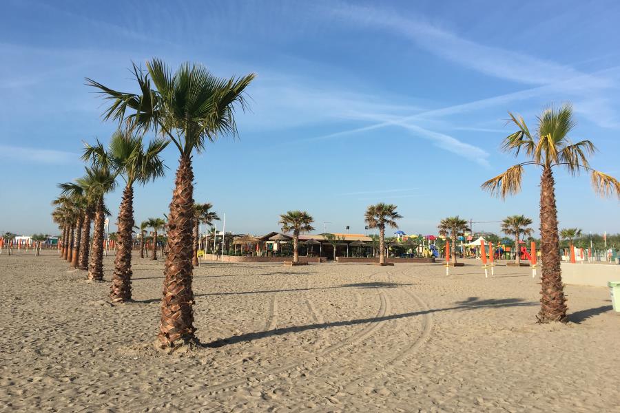 Camping Tropical  – foto 4