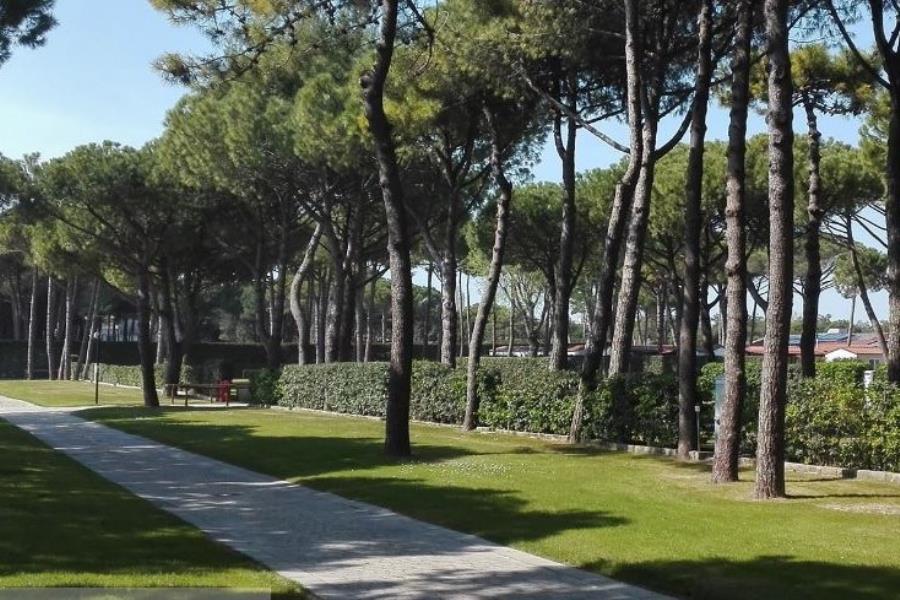 Villaggio Turistico Internazionale  – foto 5