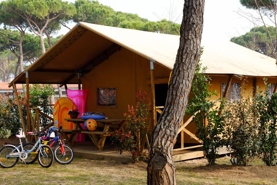 Camping Waikiki 
